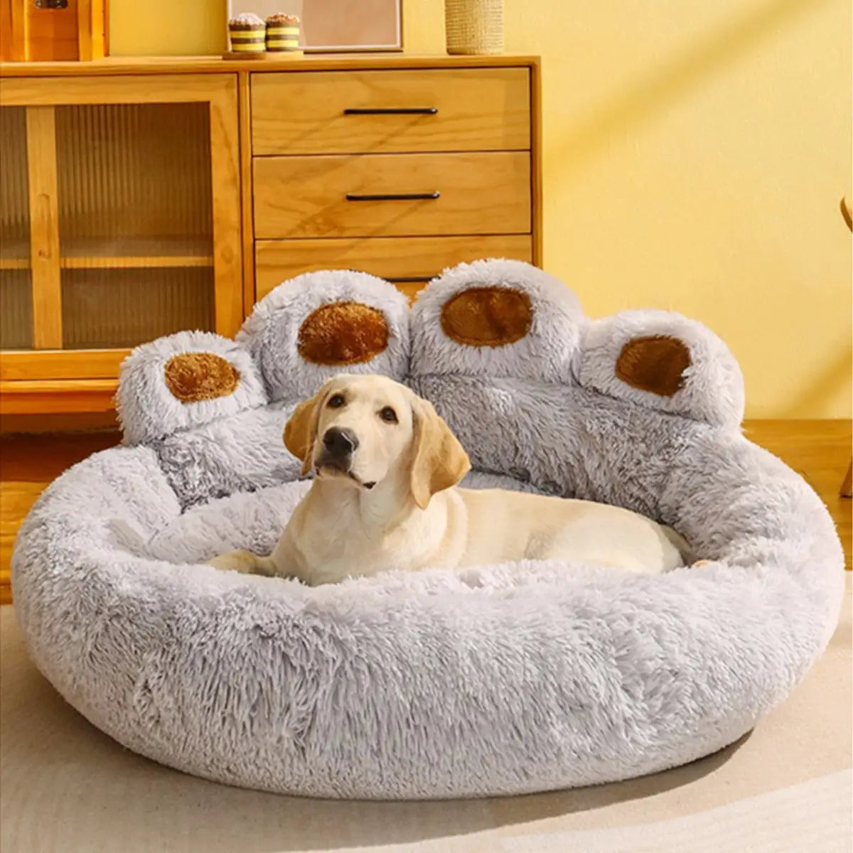 Luxury Dog Sofa Beds