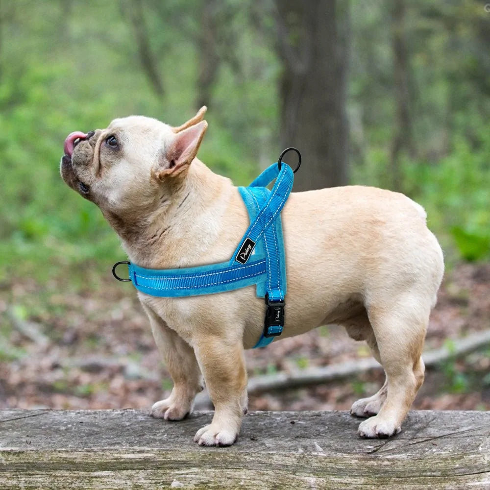 High Quality Reflective Padded Dog Harness