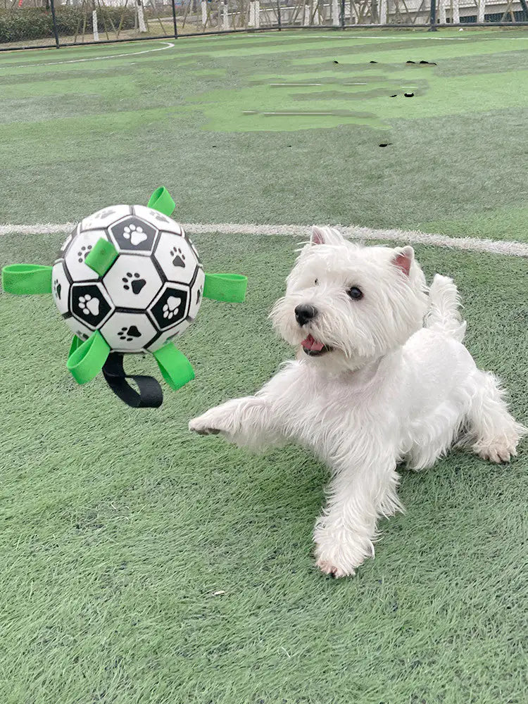 Dog Football