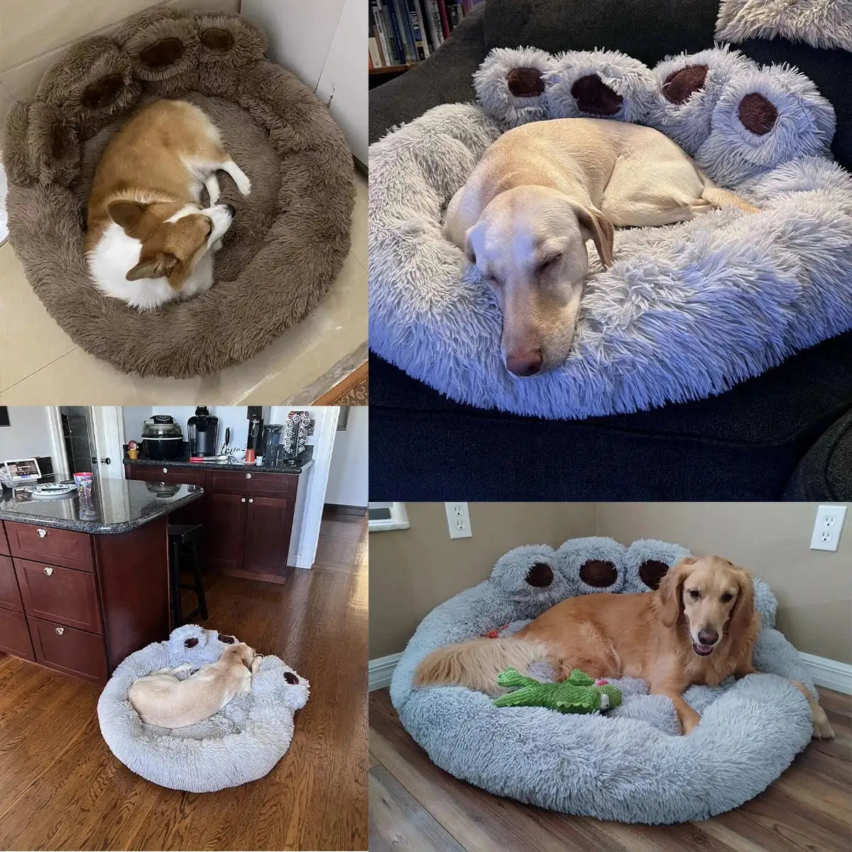 Luxury Dog Sofa Beds