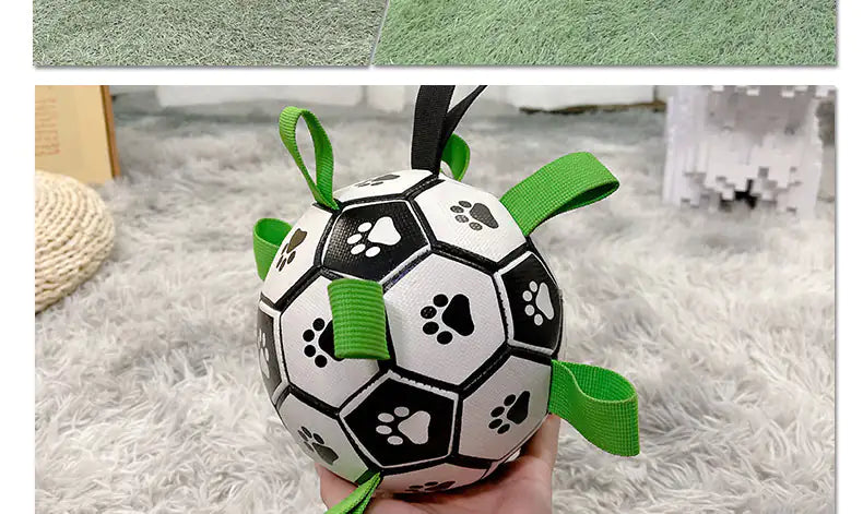 Dog Football