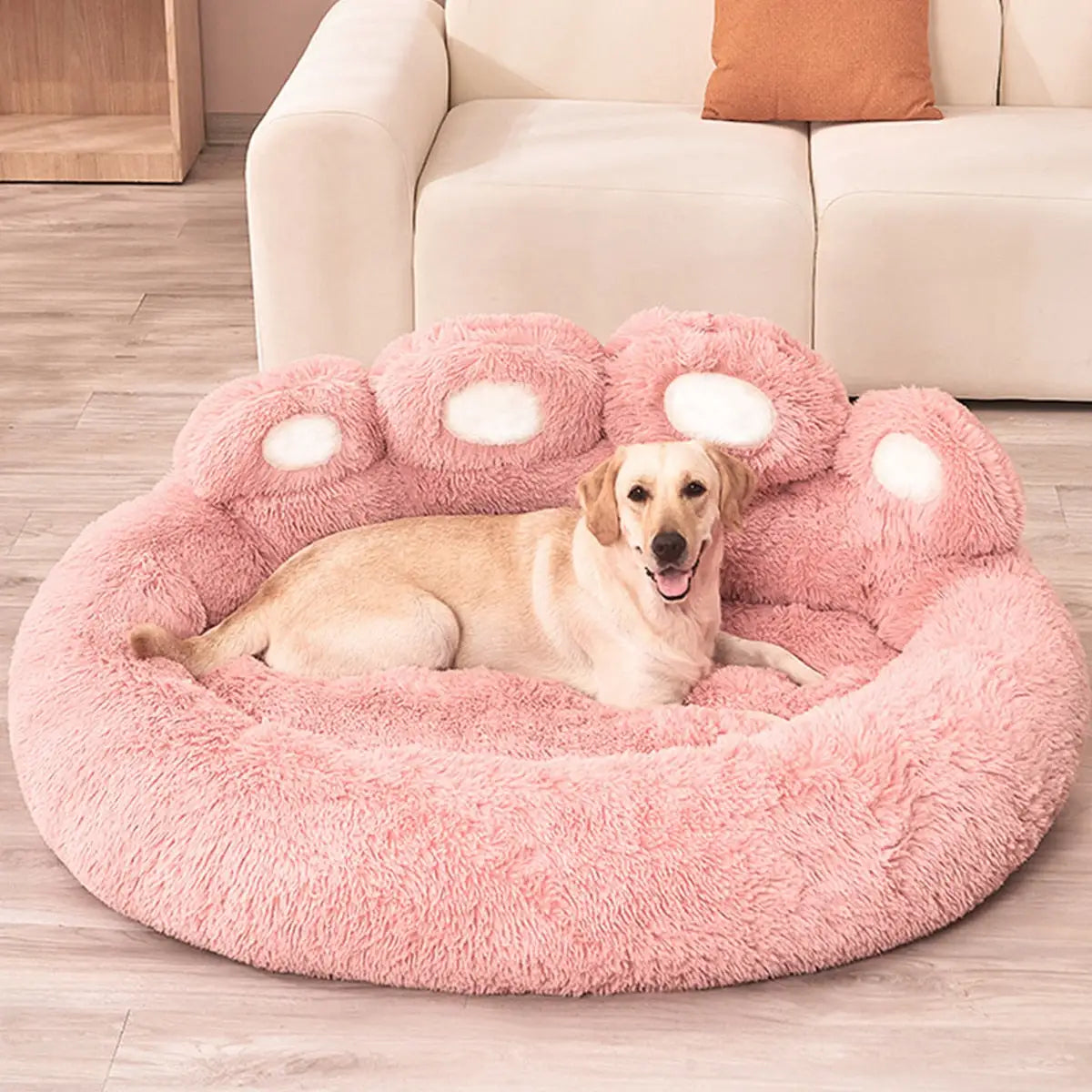 Luxury Dog Sofa Beds