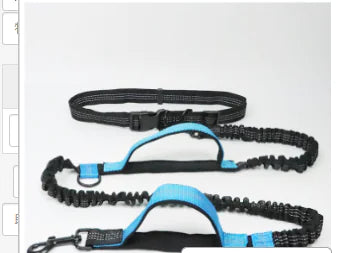 Hands Free Dog Leash with Zipper Bag