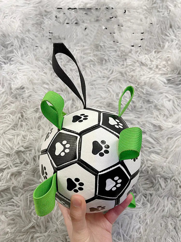 Dog Football