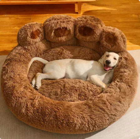 Luxury Dog Sofa Beds