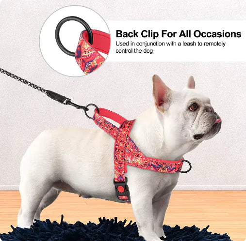 Multi-colored High Quality Dog Harness