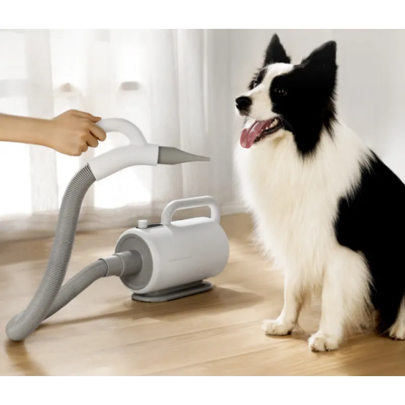 High-power Blower Professional Dog Dryer