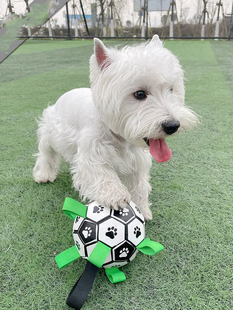 Dog Football