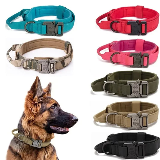 Tactical Dog Collar and matching Leash option