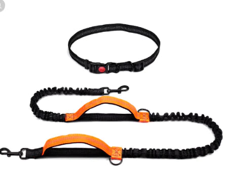 Hands Free Dog Leash with Zipper Bag