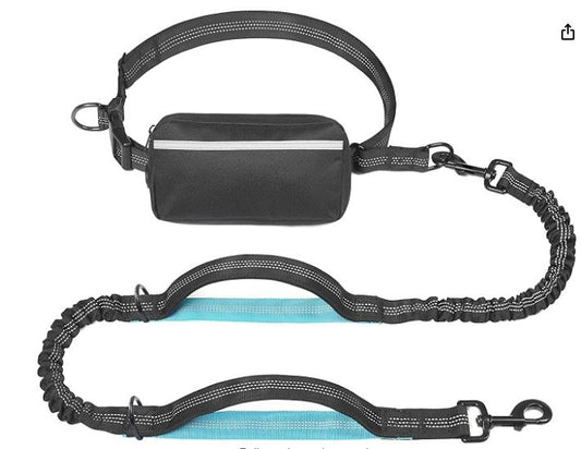 Hands Free Dog Leash with Zipper Bag