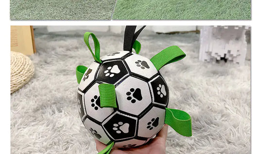 Dog Football