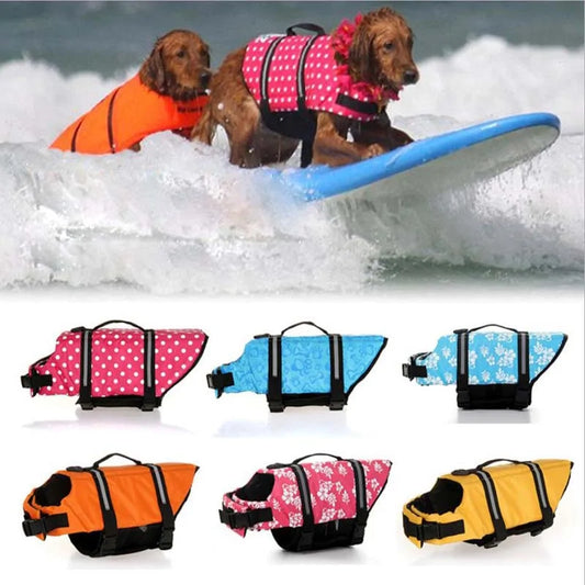 Dog Life Vest for those big water adventures