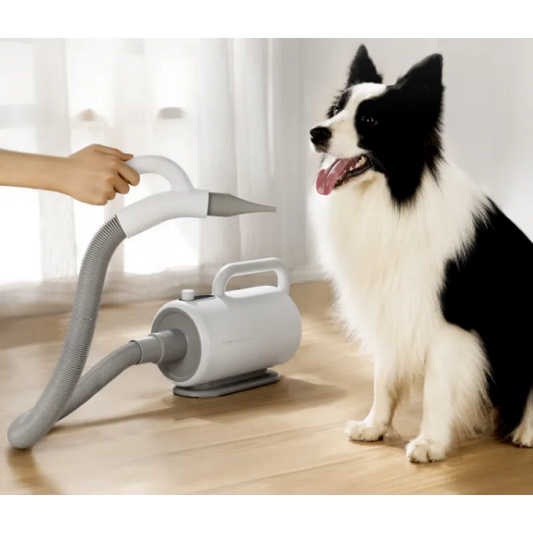 High-power Blower Professional Dog Dryer