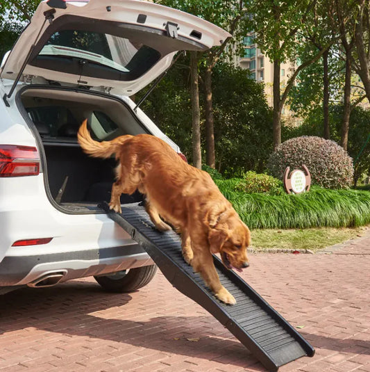 Folding Dog Ramp