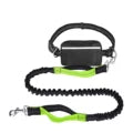Hands Free Dog Leash with Zipper Bag